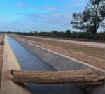 Denuncian una ‘‘trampa mortal’’ en Santiago del Estero con cientos de animales muertos