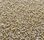 Tensión comercial y clima genera alerta en EEUU. Mientras, en Argentina el maíz no aparece en los puertos, y las ventas de soja desaparecen