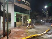 Operativos en Palermo por sospechas de envenenamiento de mascotas