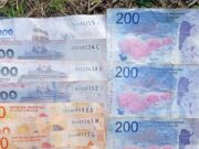 Persecución policial terminó con dos delincuentes detenidos en Palermo