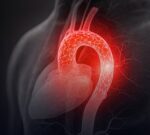 Identifican al órgano que envejece primero