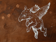 La exposición que interpela la relación entre identidad y territorio