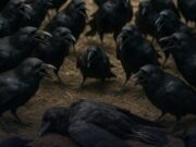 Los cuervos nunca olvidan al culpable