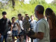 La Ciudad celebra la naturaleza en la segunda Expo Ecoparque