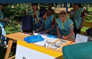 Tres jornadas para donar y ayudar a perros y gatos