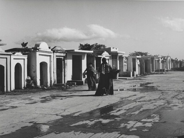 a-Ciudad-inaugura-una-gran-muestra-de-Mariana-Yampolsky