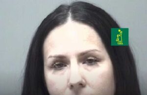 Robyn Polston, la mujer de 43 años que fue arrestada por tener un hijo con el novio adolescente de su hija