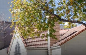 Pasó una noche en una casa embrujada y cuenta detalles escalofriantes