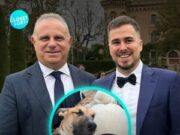 Pareja gay se casará con sus perros como testigos