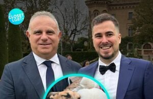 Pareja gay se casará con sus perros como testigos