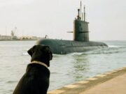 Un perro fiel extraña los oficiales del ARA San Juan