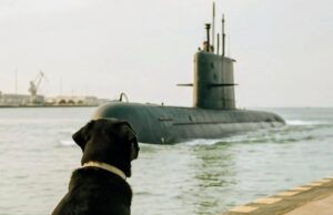 Un perro fiel extraña los oficiales del ARA San Juan