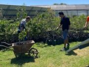 La Ciudad abre voluntariados gratuitos para aprender y cuidar el ambiente