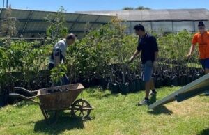 La Ciudad abre voluntariados gratuitos para aprender y cuidar el ambiente