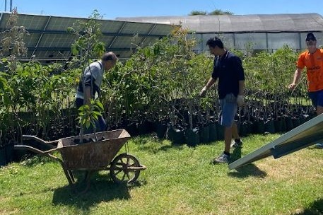 La Ciudad abre voluntariados gratuitos para aprender y cuidar el ambiente