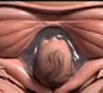 El parto visto desde dentro