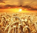 Baja de retenciones: alivio fiscal limitado y mercados que no reaccionan