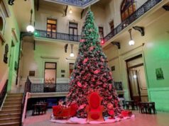Un árbol Navideño de 9 metros iluminará la Ciudad