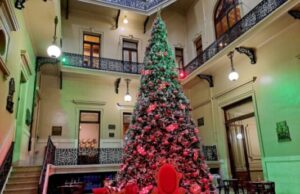 Un árbol Navideño de 9 metros iluminará la Ciudad