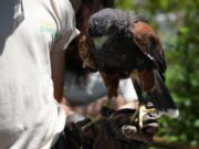 El Ecoparque lanza una agenda de verano con actividades gratuitas para toda la familia