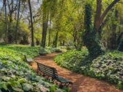 La Ciudad refuerza emergencias ante la ola de calor