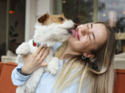 Mascotas en la ciudad: el desafío detrás del auge pet-friendly