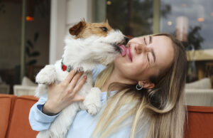 Mascotas en la ciudad: el desafío detrás del auge pet-friendly