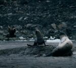 Vuelve el ciclo de verano «Miradas argentinas» al Cine York