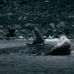 Vuelve el ciclo de verano «Miradas argentinas» al Cine York