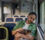 Ahora los porteños podrán viajar con sus mascotas