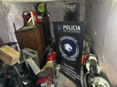 Desbaratan desarmadero clandestino en Saavedra con autopartes por $25 millones