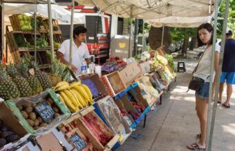 La Feria Migrante consolida a Parque Centenario como epicentro multicultural