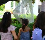 Continúa «Cultura de Verano 2026»