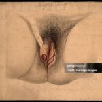 La vulva ¿Obsesionada con que tu zona íntima huela a flores?