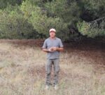 Del bosque costero a Europa: el emprendedor que exporta piñones desde Claromecó