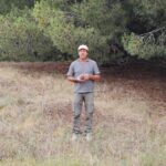 Del bosque costero a Europa: el emprendedor que exporta piñones desde Claromecó