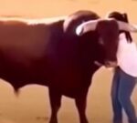 Una mujer saltó al ruedo y el toro reaccionó de forma inesperada