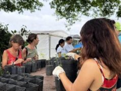 Cómo sumarse a los voluntariados ambientales gratuitos del CIFA