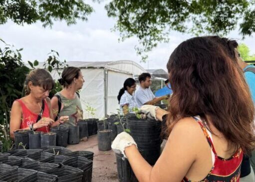 Cómo sumarse a los voluntariados ambientales gratuitos del CIFA