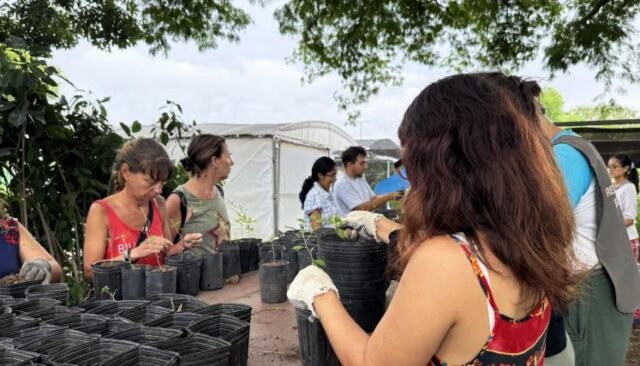 Como-sumarse-a-los-voluntariados-ambientales-gratuitos-del-CIFA-scaled-1