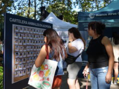 Parque Chacabuco recibe una jornada de adopción con perros y gatos que buscan familia
