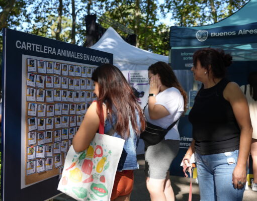 Parque Chacabuco recibe una jornada de adopción con perros y gatos que buscan familia