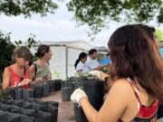 Flora nativa y huertas urbanas: la apuesta verde de la Ciudad