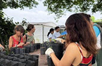 Flora nativa y huertas urbanas: la apuesta verde de la Ciudad