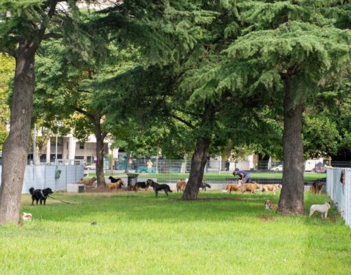 Renovaron los caniles del Parque Thays y mejoraron la seguridad para mascotas