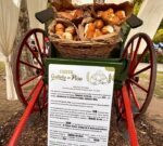 El 11 y 12 de abril llega a Saladillo la 6ta fiesta de la galleta de piso