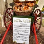 El 11 y 12 de abril llega a Saladillo la 6ta fiesta de la galleta de piso