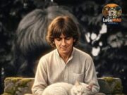 George Harrison, el Beatle silencioso que encontraba paz entre gatos