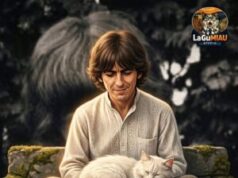George Harrison, el Beatle silencioso que encontraba paz entre gatos