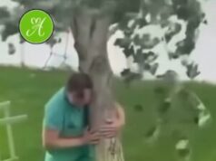 Un padre sostiene un árbol que había plantado su hija antes de morir